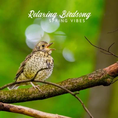 Relaxing Birdsong - Spring Vibes, Great Mood, Happiness 專輯 Natural Healing Music Zone