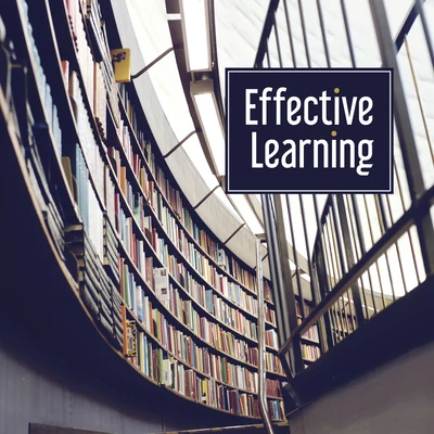 Effective Learning – Classical Melodies to Improve Your Memory, Study Sounds, Focus on Task 专辑 Villa Musica Ensemble/Classical Music Songs/Leonard Hokanson