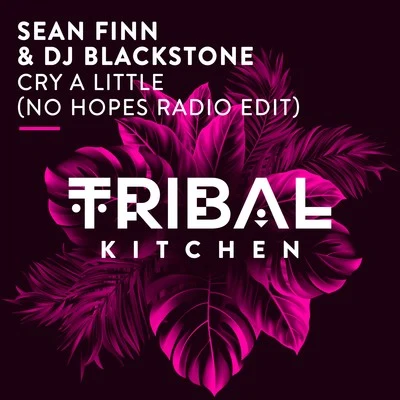 Cry a Little (No Hopes Radio Edit) 專輯 DJ Blackstone