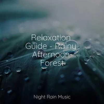 Relaxation Guide - Rainy Afternoon Forest 专辑 Thunder Storm/Binaural Beats Brain Waves Isochronic Tones Brain Wave Entertainment/Rest & Relax Nature Sounds