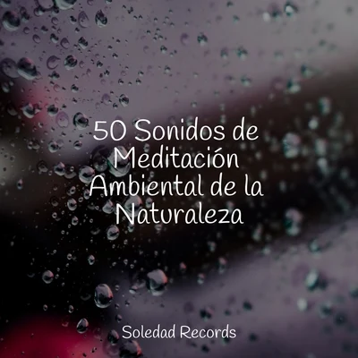 50 Sonidos de Meditación Ambiental de la Naturaleza 專輯 Música para Meditar y Relajarse/Sueño Profundo/Entrenamiento Autògeno y Meditación Specialistas