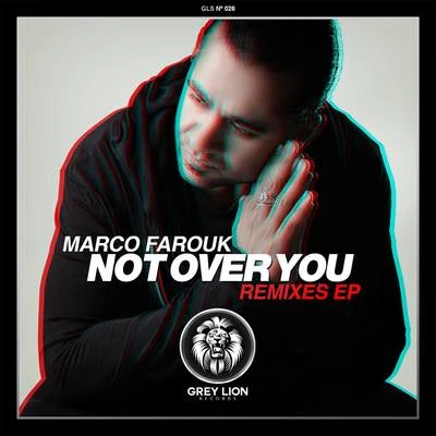 Not Over You 專輯 Alvix/Edward Jonasson/Brittney Bouchard/Marco Farouk