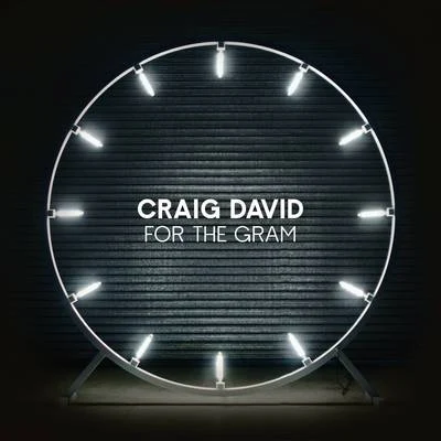 For the Gram 專輯 Craig David