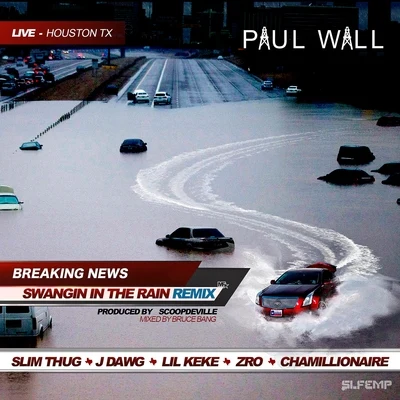 Swangin In the Rain (Remix) [feat. Slim Thug, J-Dawg, Lil Keke, Z-Ro, & Chamillionaire] - Single 专辑 Frost4eva/Paul Wall/Q Bosilini