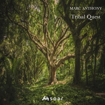 Tribal Quest 專輯 Marc Anthony