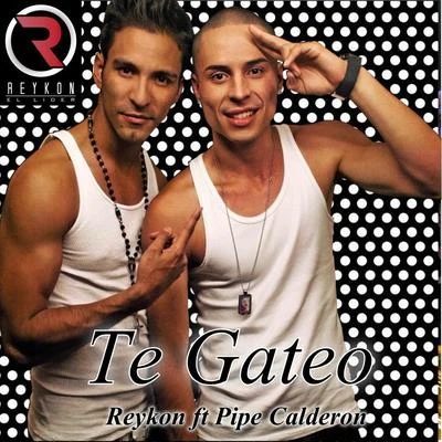 Te Gateo 專輯 Reykon