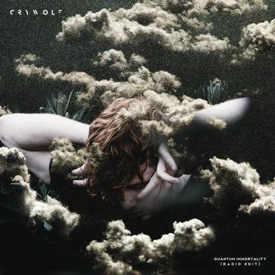 Quantum Immortality (Radio Edit) 專輯 Crywolf/Ferry Corsten