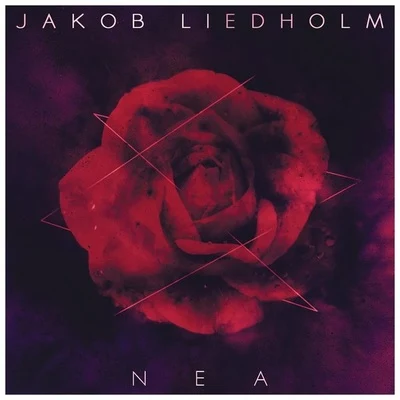 NEA 專輯 Jakob Liedholm