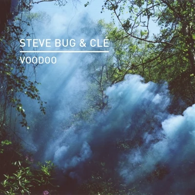 Voodoo 专辑 Steve Bug