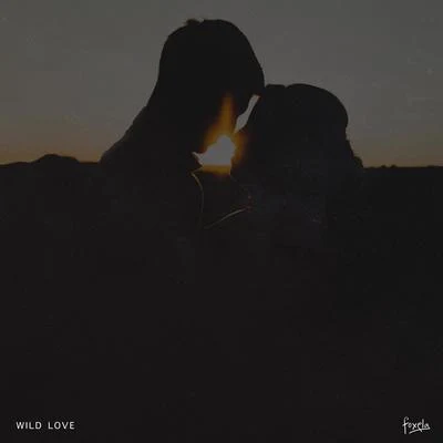 Wild Love 專輯 Foxela/DNAKM