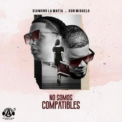 No Somos Compatibles 专辑 Don Miguelo