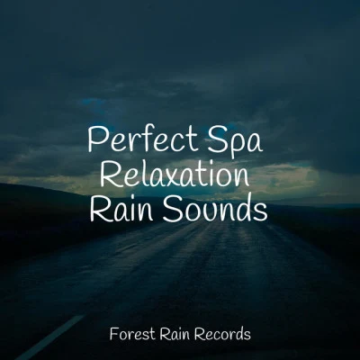 Perfect Spa Relaxation Rain Sounds 专辑 Sound Healing Center/Meditation and Stress Relief Therapy/Relaxing Sounds Of Nature