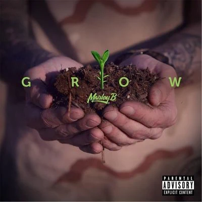 Grow 专辑 Marley B/DJ.Fresh/Cash Lansky