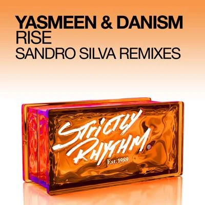 Rise (Sandro Silva Remixes) 專輯 Danism