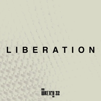 Liberation 专辑 Wretch 32