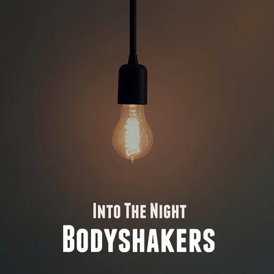 Into the Night 專輯 Bodyshakers/DJ Valdi