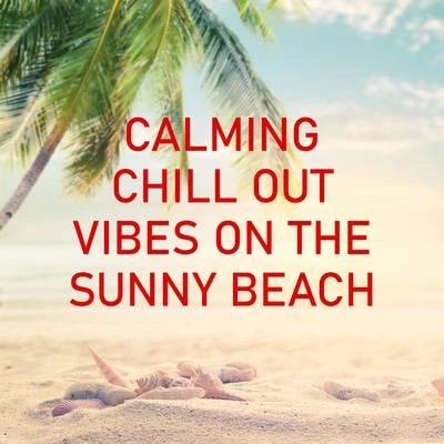 Calming Chill Out Vibes on the Sunny Beach 专辑 Free Time Paradise/Beach House Chillout Music Academy & Cool Chillout Zone/Ibiza 2017