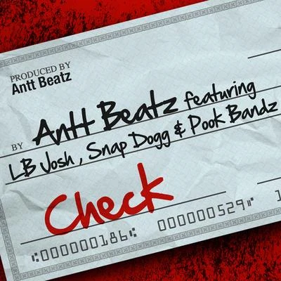 Check 專輯 Antt Beatz