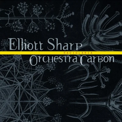 Radiolaria 專輯 Elliott Sharp