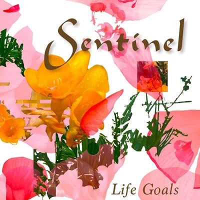 Life Goals 專輯 Sentinel/Vicky Merlino/Spirit Architect/Basso/Pleiadians