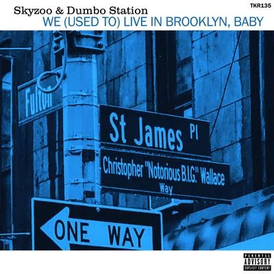 Skyzoo We (Used to) Live in Brooklyn, Baby