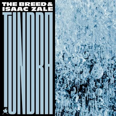 Tundra 專輯 The Breed/Tesk/B-Side/Knowmadic/Mr Slipz