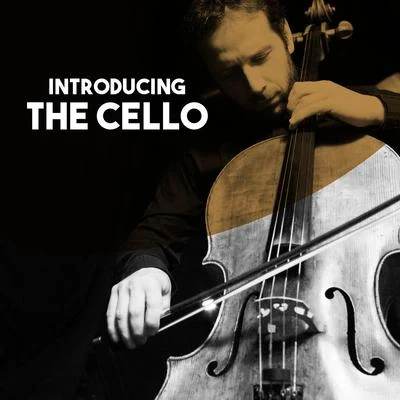 Introducing: The Cello 專輯 Jörg Metzger