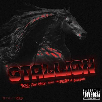 Stallion (feat. Lil Flip & Yella Yella) 專輯 ItsaClassik/Giovanni Tha King/Mr WiredUp/Kstylis/Bone The Mack