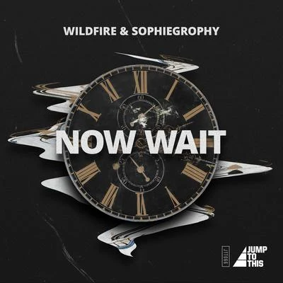 Now Wait 專輯 Wildfire/Sophiegrophy