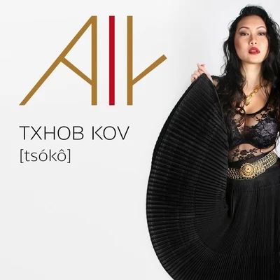 Txhob Kov (Tsoko) 专辑 Aly