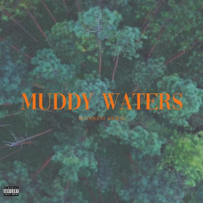 Muddy Waters 專輯 Delinquent Society