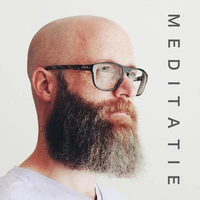 Meditatie 專輯 David