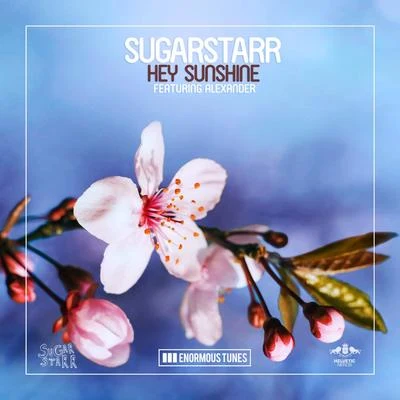 Hey Sunshine 專輯 Sugarstarr/Goh