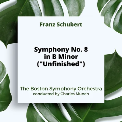 Schubert: Symphony No. 8 in B Minor ("Unfinished") 专辑 The Boston Symphony Orchestra