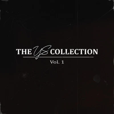 YS Collection Vol. 1 專輯 Logic/Crookers/Bas Roos/Pysh/thatmanmonkz