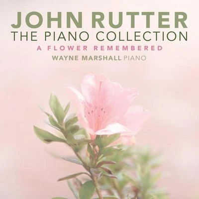 The Piano Collection 专辑 Wayne Marshall