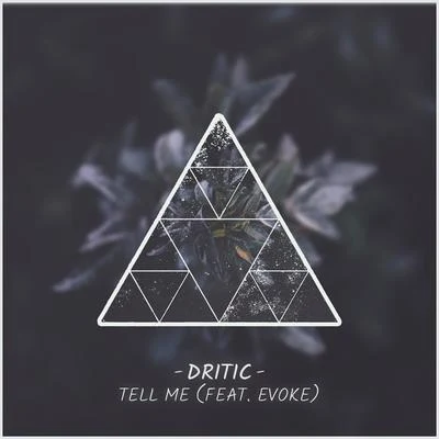 Tell Me (feat. Evoke) 专辑 Dritic/Arkane Skye/Miss Lina