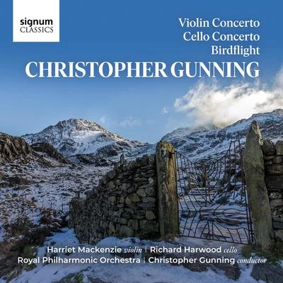 Christopher Gunning: Violin Concerto, Cello Concerto & Birdflight 專輯 Richard Harwood/Peter Gregson/Reinoud Ford/Tim Lowe/Katherine Jenkinson