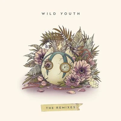 Dabin Wild Youth (The Remixes)