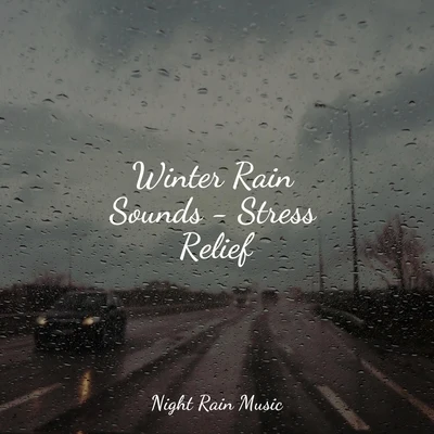 Winter Rain Sounds - Stress Relief 專輯 Academia de Música con Sonidos de la Naturaleza