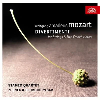 Mozart: Divertimenti for Strings and 2 French Horns 專輯 Bedrich Tylsar