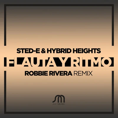 Flauta Y Ritmo 专辑 Sted-E/Todd Terry/Mr.V/Hybrid Heights