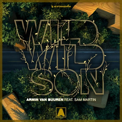 Wild Wild Son 專輯 Sam Martin