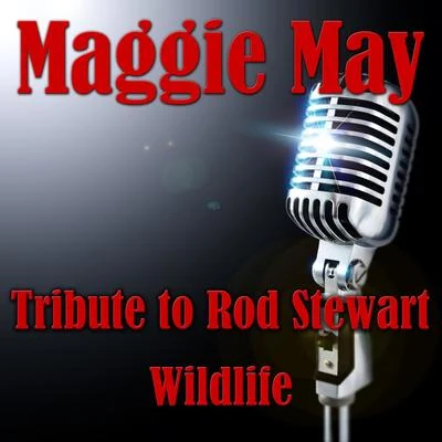 Maggie May- Tribute To Rod Stewart 專輯 Wildlife/Various Arists/Sergey Sivenenko/Cj RcM/RD Project