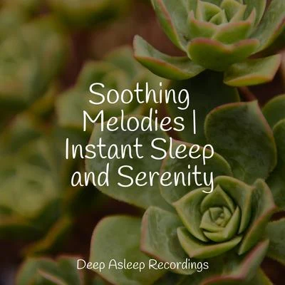 Soothing Melodies | Instant Sleep and Serenity 專輯 Entspannungsmusik Oase