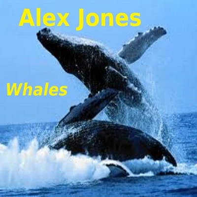 Whales 專輯 Alex Jones