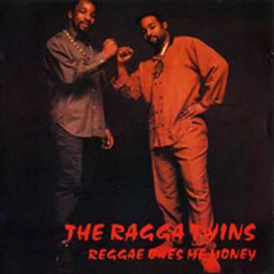 Ragga TwinsSerial Killaz Reggae Owes Me Money