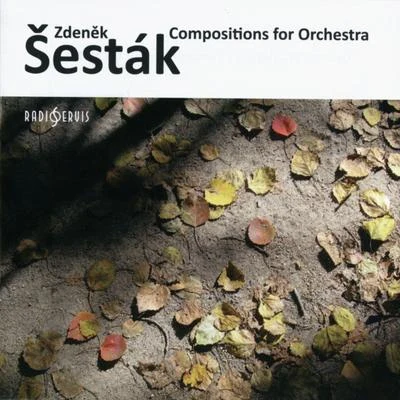 Zdeněk Šesták - Composition for Orchestra 专辑 Milan Munclinger/Giedré Lukšaité-Mrázková/Antonín Novák/Viktor Moučka