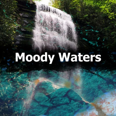 Moody Waters 专辑 Nature Music Pregnancy Academy/Avslappning Sound/Pro Sound Effects Library