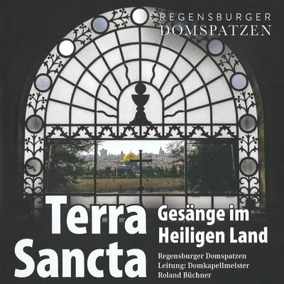 Terra Sancta - Gesänge im Heiligen Land 專輯 Consortium musicum München/Hanna Farinelli/Heiner Hopfner/Birgit Calm/Nikolaus Hillebrand